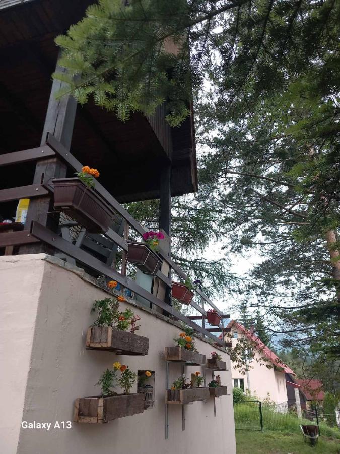 Vikendica Malovic Vila Žabljak Exterior foto